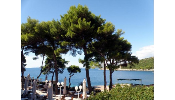 Hotel Splendid poza 22