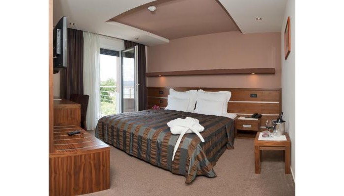 Hotel Plaza poza 20